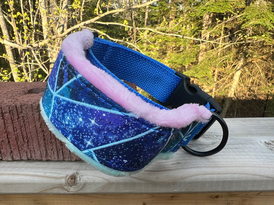 Flyball/Handle Collar (14-17”)