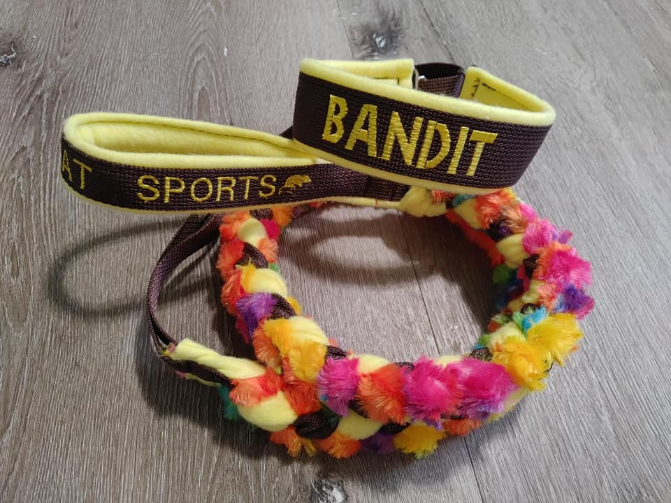 4 Strand Braided Slip Leash with Faux Fur