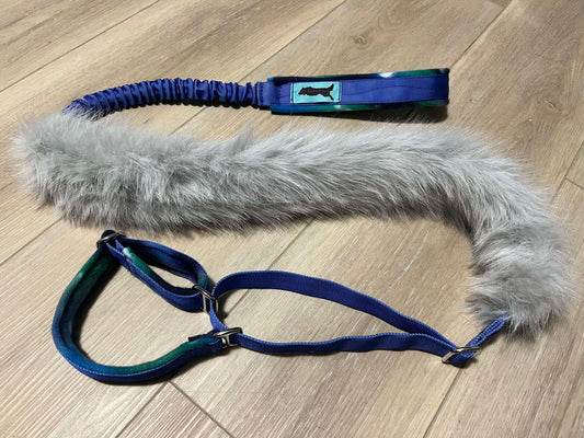 Bungee Tug Slip Leash