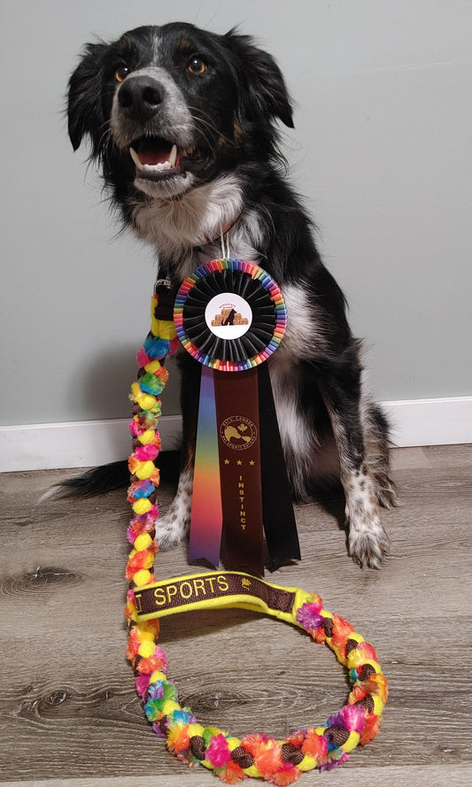 4-Strand Braided Tug Leash with Fur