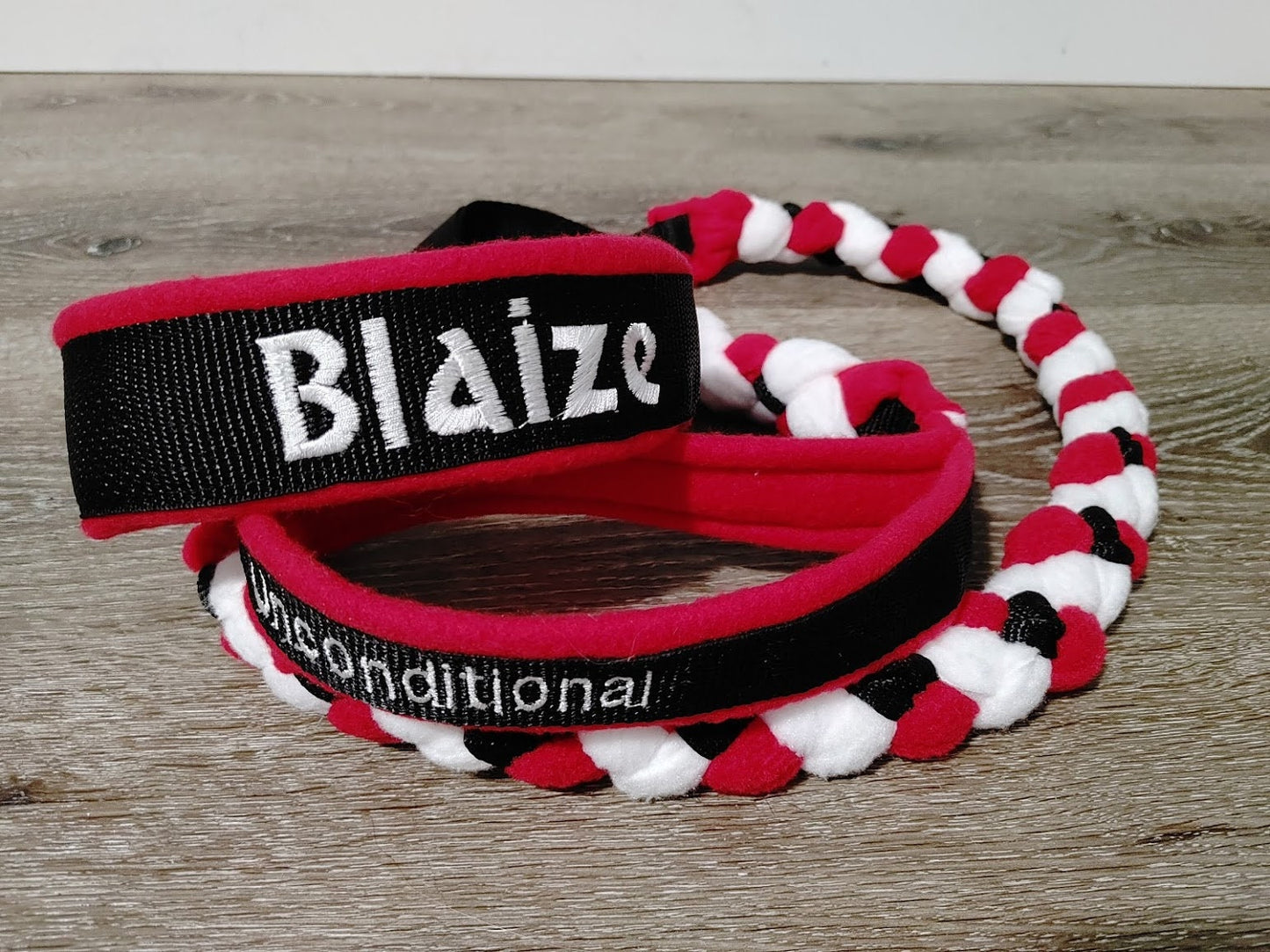 4 Strand Braided Slip Leash