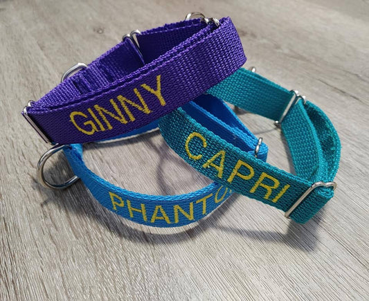 1.5" Martingale Collar